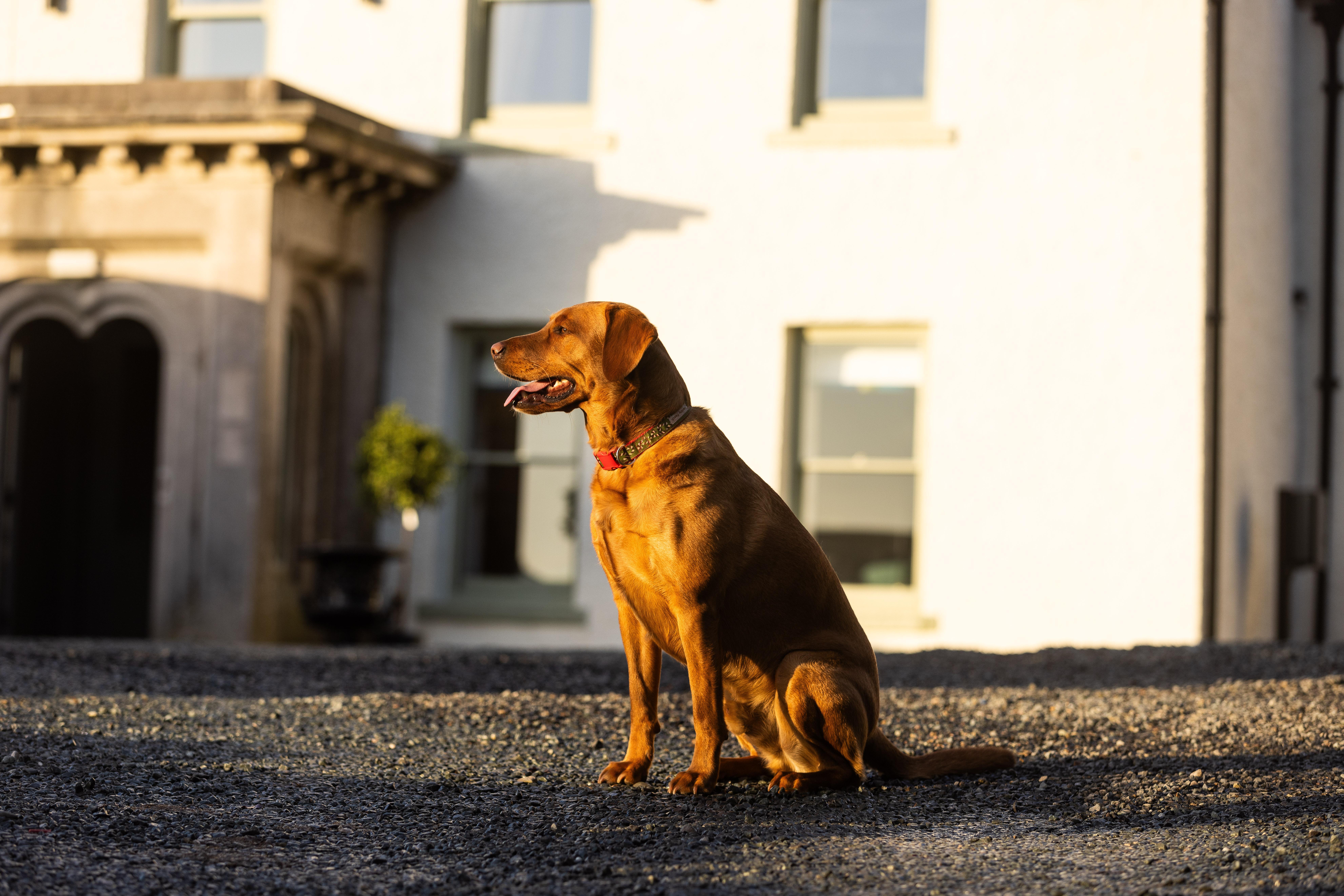 Bed and Breakfast Aynsome Manor Cartmel Esterno foto